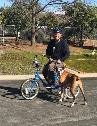 A man on a bike taking a dog for a walk