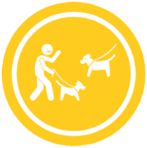 Dog meeting icon